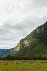 Obraz premium Green meadow before mountains on cloudy summer day, floral valley with hills, beautiful nature view vertical photo