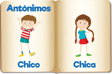 Spanish Language Education: Chico and Chica Antonyms