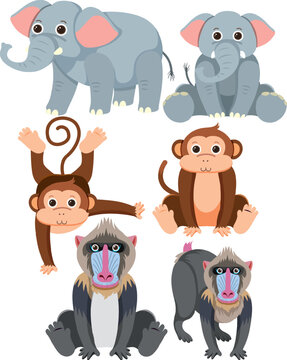 Simple Style Cartoon Illustration of Elephant, Monkey, and Baboon