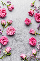 Colored gypsophila flowers and pink roses on concrete background