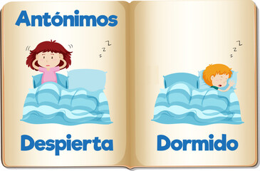 Spanish Language Education: Awake and Asleep Cartoon Illustration