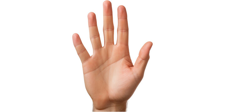 Hand palm. Stop warning gesture , #Sponsored, #palm, #Hand, #Stop,  #gesture, #warning #ad