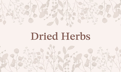 Border Dry Herbs, Dried Flowers. Natural medicine. Vector banner with branches twigs cotton flowers.