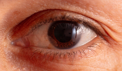 Close up of a brown eye. Macro