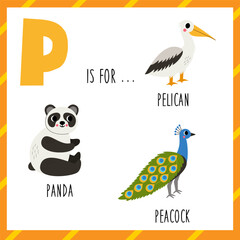 Learning English alphabet for kids. Letter p. Cute cartoon pelican panda peacock.