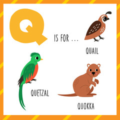 Fototapeta premium Learning English alphabet for kids. Letter q. Cute cartoon quail quetzal quokka.