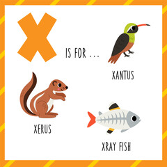  Learning English alphabet for kids. Letter X. Cute cartoon xantus xerus xray fish.