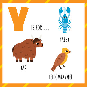  Learning English alphabet for kids. Letter Y. Cute cartoon yak yabby yellowhammer.