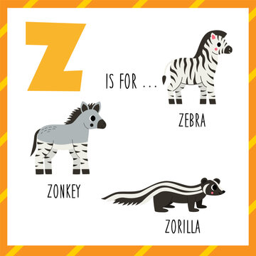  Learning English alphabet for kids. Letter z. Cute cartoon zebra zonkey zorilla.