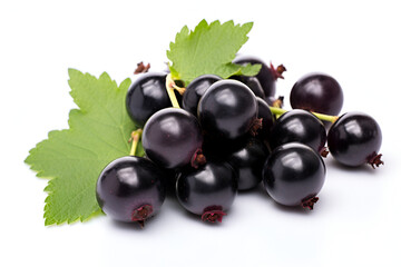 blackcurrant white background