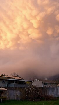 Vertical Large storm clouds moving over houses during sunset in Utah viewing mammatus clouds.