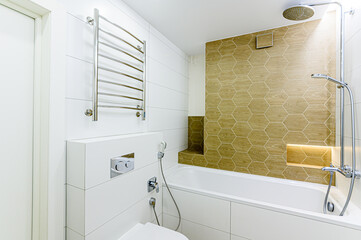interior apartment room bathroom, sink, decorative elements, toilet