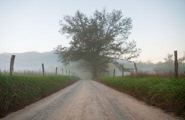 The Great Smoky Mountains National Park