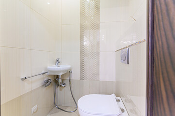 interior apartment room bathroom, sink, decorative elements, toilet