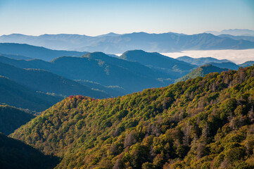 Naklejka premium The Great Smoky Mountains National Park