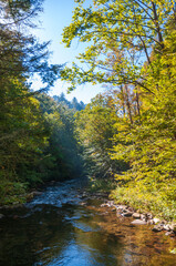 Obraz premium The Great Smoky Mountains National Park