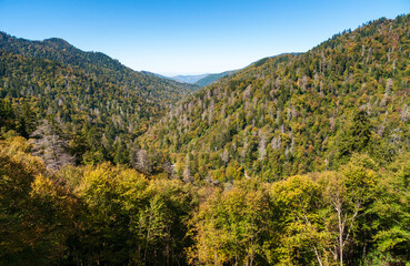 Obraz premium The Great Smoky Mountains National Park