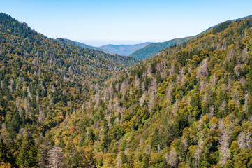 The Great Smoky Mountains National Park