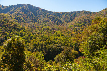 Obraz premium The Great Smoky Mountains National Park
