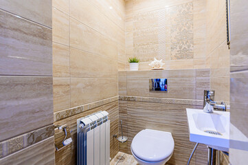 interior apartment room bathroom, sink, decorative elements, toilet