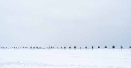 Field in winter in snowfall with country road