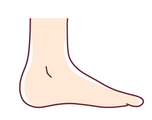 横から見た人間の足のシンプルなイラスト