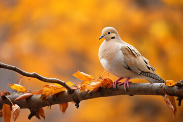 Fototapeta premium Paws of Wonder Chronicles of a Curious Puppy
