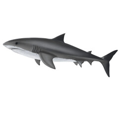 illustration of a shark swiming  in the ocean