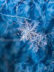 macroscopic image of a snowflake, macro photography of a snowflake