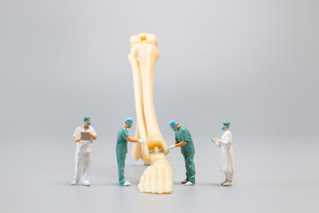 Miniature people , Anatomy model of the human ankle joint with a doctor on a grey backdrop