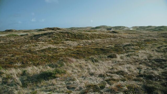 Pleasant windy meadows of Jutland Denmark gimbal shot