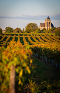 France, Charente-Martime, Lonzac Church,in Cognac Vineyards, Petite Champagne, High quality photo