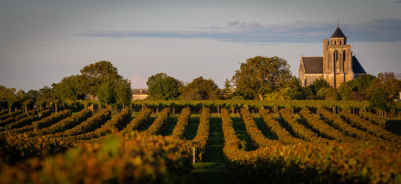 France, Charente-Martime, Lonzac Church,in Cognac Vineyards, Petite Champagne, High quality photo
