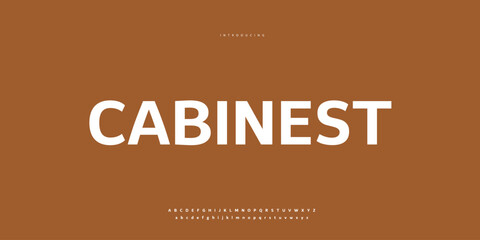 Elegant Font Uppercase Lowercase and Number. Classic Lettering Minimal Fashion Designs. Typography modern Sen serif fonts regular decorative vintage concept. vector illustration © SyedMuhammad