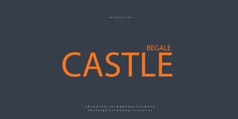 Elegant Font Uppercase Lowercase and Number. Classic Lettering Minimal Fashion Designs. Typography modern Sen serif fonts regular decorative vintage concept. vector illustration © SyedMuhammad