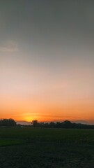 Fototapeta na wymiar Sunset on the rice fields