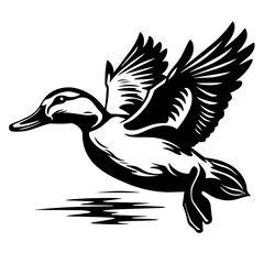 Flying Mallard Duck - obrazy, fototapety, plakaty
