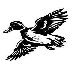 Flying Mallard Duck - obrazy, fototapety, plakaty