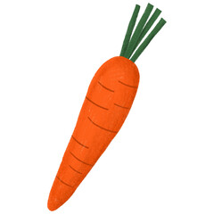 Carrot hand drawn clipart