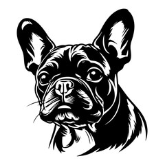 French Bulldog - obrazy, fototapety, plakaty