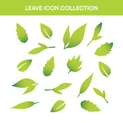 Minimalist Leaf Vectors Simplistic Nature Art