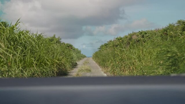 Car moving along a secluded, bumpy and narrow road with tall grass