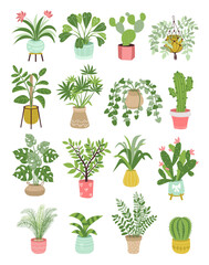 Fototapeta na wymiar Home plants. Different types of ficus in flowerpots. Trees and decorative greenery for interiors and greenhouses. Urban indoor garden. Potted succulents and cactuses. Splendid vector set