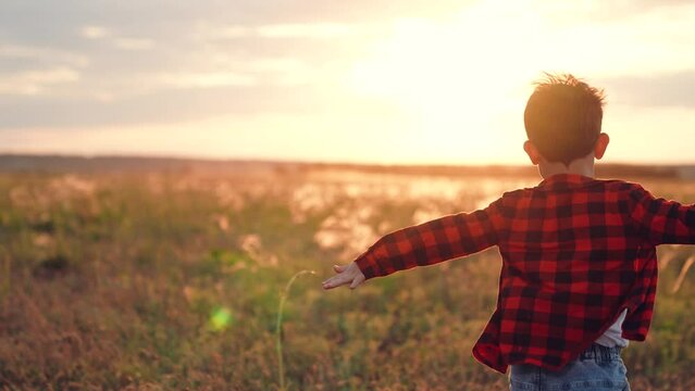 Boy overflowed with joy runs along field of plants at sunset with soaring spirit