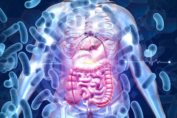 Human digestive system with  virus bacteria. 3d illustration - obrazy, fototapety, plakaty