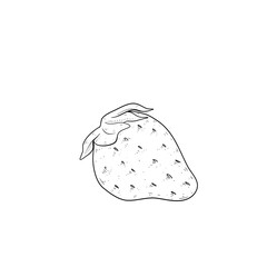 strawberry handdrawn 