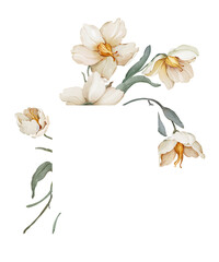 Greeting card with delicate flowers on a white background in a watercolor style