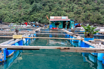 Fototapeta na wymiar Fish farm at the Cua Van floating village, Halong Bay, Vietnam