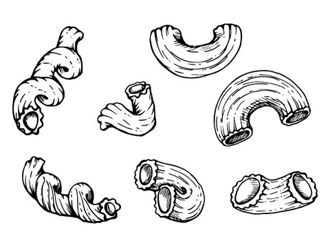 Hand drawn vector ink illustration. Pasta Italian cuisine elbows cavatappi gobetti cellentani. Set of single object elements isolated on white. For restaurant menu, food shop package, flyer, print.