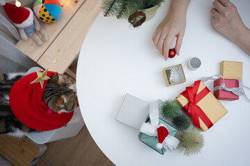 flat lay woman hand decorate christmas tree and new year  gift box and play with her cat